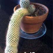 ヒメ日記 2025/05/24 19:34 投稿 はるな 美熟女倶楽部Hip's 春日部店