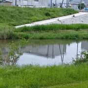 ヒメ日記 2025/05/25 17:44 投稿 はるな 美熟女倶楽部Hip's 春日部店