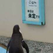 ヒメ日記 2025/08/01 15:44 投稿 はるな 美熟女倶楽部Hip's 春日部店