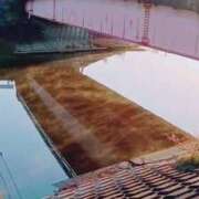 ヒメ日記 2025/12/01 07:12 投稿 はるな 美熟女倶楽部Hip's 春日部店