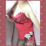 ヒメ日記 2025/12/25 07:32 投稿 はるな 美熟女倶楽部Hip's 春日部店