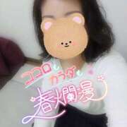 ヒメ日記 2026/03/29 09:12 投稿 はるな 美熟女倶楽部Hip's 春日部店