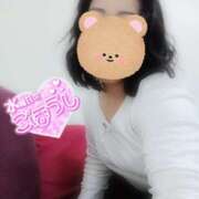 ヒメ日記 2026/04/08 09:27 投稿 はるな 美熟女倶楽部Hip's 春日部店