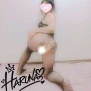 ヒメ日記 2026/09/14 08:42 投稿 はるな 美熟女倶楽部Hip's 春日部店