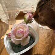 らむ ありがとう💕 リッチドールパート2梅田店