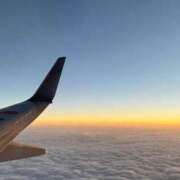 ヒメ日記 2024/12/17 21:37 投稿 りのあ ワンダーホール24