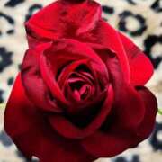 相沢ゆい こんばんわ❣ 一夜妻