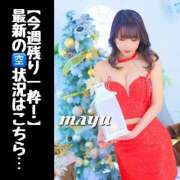 ヒメ日記 2024/12/16 23:39 投稿 まゆ セグレターリオ