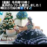 ヒメ日記 2024/12/22 14:31 投稿 まゆ セグレターリオ