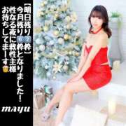 ヒメ日記 2024/12/24 12:53 投稿 まゆ セグレターリオ