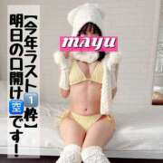 ヒメ日記 2024/12/29 12:59 投稿 まゆ セグレターリオ