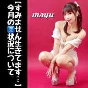 ヒメ日記 2025/01/08 17:06 投稿 まゆ セグレターリオ