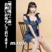 ヒメ日記 2025/01/12 17:14 投稿 まゆ セグレターリオ