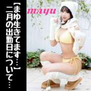 ヒメ日記 2025/01/29 20:42 投稿 まゆ セグレターリオ