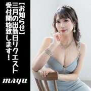 ヒメ日記 2025/02/21 15:19 投稿 まゆ セグレターリオ