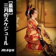 ヒメ日記 2025/03/04 10:43 投稿 まゆ セグレターリオ