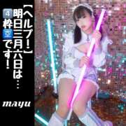 ヒメ日記 2025/03/05 21:45 投稿 まゆ セグレターリオ