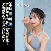 ヒメ日記 2025/03/15 08:02 投稿 まゆ セグレターリオ