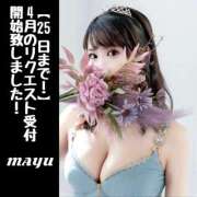 ヒメ日記 2025/03/22 09:47 投稿 まゆ セグレターリオ