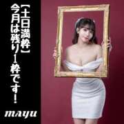 ヒメ日記 2025/03/29 08:02 投稿 まゆ セグレターリオ