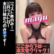 ヒメ日記 2025/03/31 09:00 投稿 まゆ セグレターリオ