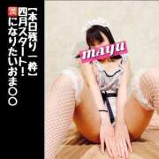 ヒメ日記 2025/04/01 09:59 投稿 まゆ セグレターリオ