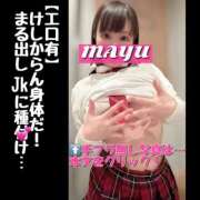 ヒメ日記 2025/04/06 07:30 投稿 まゆ セグレターリオ