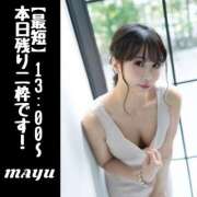 ヒメ日記 2025/04/06 10:36 投稿 まゆ セグレターリオ