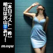 ヒメ日記 2025/04/10 10:43 投稿 まゆ セグレターリオ