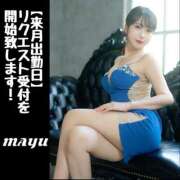 ヒメ日記 2025/04/20 09:52 投稿 まゆ セグレターリオ