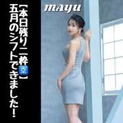 ヒメ日記 2025/04/26 08:03 投稿 まゆ セグレターリオ