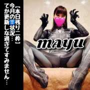 ヒメ日記 2025/05/11 08:01 投稿 まゆ セグレターリオ