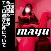 ヒメ日記 2025/05/17 10:57 投稿 まゆ セグレターリオ