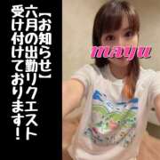 ヒメ日記 2025/05/23 17:22 投稿 まゆ セグレターリオ