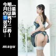 ヒメ日記 2025/06/14 16:07 投稿 まゆ セグレターリオ