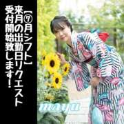 ヒメ日記 2025/06/20 23:37 投稿 まゆ セグレターリオ