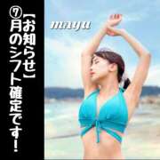 ヒメ日記 2025/06/28 22:31 投稿 まゆ セグレターリオ