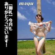 ヒメ日記 2025/06/30 23:33 投稿 まゆ セグレターリオ