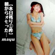 ヒメ日記 2025/07/13 07:50 投稿 まゆ セグレターリオ