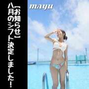 ヒメ日記 2025/07/26 21:10 投稿 まゆ セグレターリオ