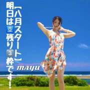 ヒメ日記 2025/07/31 23:20 投稿 まゆ セグレターリオ