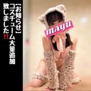 ヒメ日記 2025/10/11 16:59 投稿 まゆ セグレターリオ