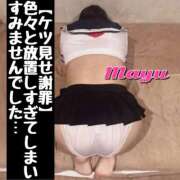 ヒメ日記 2025/11/11 09:27 投稿 まゆ セグレターリオ