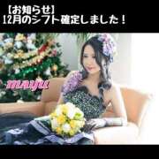 ヒメ日記 2025/11/27 16:46 投稿 まゆ セグレターリオ