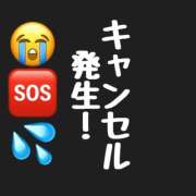 ヒメ日記 2025/12/30 09:01 投稿 まゆ セグレターリオ