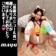 ヒメ日記 2026/01/03 07:30 投稿 まゆ セグレターリオ