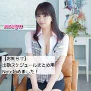 ヒメ日記 2026/02/28 13:56 投稿 まゆ セグレターリオ