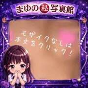 ヒメ日記 2026/09/06 08:02 投稿 まゆ セグレターリオ