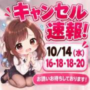 ヒメ日記 2026/10/14 08:21 投稿 まゆ セグレターリオ
