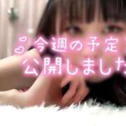 ヒメ日記 2025/02/05 12:19 投稿 かれん 横浜コスプレデビュー（シンデレラグループ）